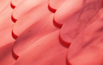 Budock Water plastic roof costs